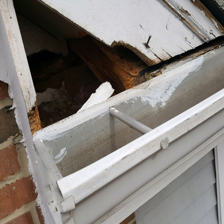 A damaged roof, wide enough for an adult raccoon to squeeze through.